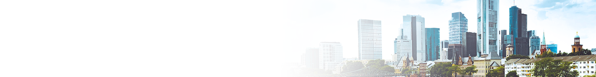 Frankfurt skyline view.